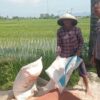 Sinergi Polsek Labuapi Dukung Swasembada Pangan di Desa