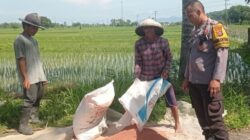 Sinergi Polsek Labuapi Dukung Swasembada Pangan di Desa