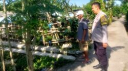 Cara Polsek Labuapi Perkuat Ketahanan Pangan di Desa