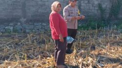 Polsek Labuapi Kawal Ketahanan Pangan Desa Bagik Polak