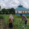 Dukung Ketahanan Pangan, Polsek Labuapi Edukasi Warga Desa
