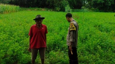 Mampu Penuhi Kebutuhan Dapur, Sinergi Polsek Labuapi dan Warga Sukseskan Ketahanan Pangan Tingkat Desa