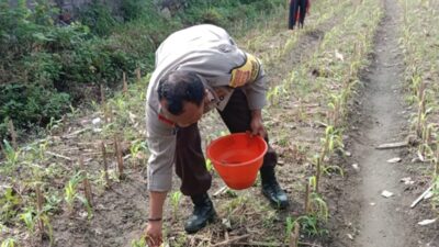 Bhabinkamtibmas Polsek Labuapi Gerakkan Program Ketahanan Pangan Desa