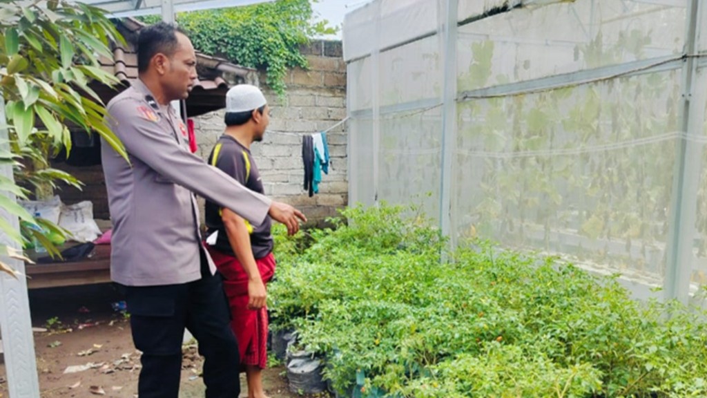 Bhabinkamtibmas Bajur Jaga Ketahanan Pangan Nasional