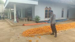 Polri Dukung Astacita, Polsek Semanding Polres Tuban Turun Cek Tanaman jagung milik Warga di Desa Tegalagung
