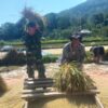 Cuaca Tak Bersahabat, Pendampingan Babinsa Jadi Penyemangat Petani