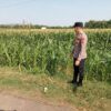 Polsek Montong Polres Tuban Turun Cek Tanaman jagung Warga di Desa Pakel