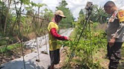 Bhabinkamtibmas Labuapi Ajak Warga Manfaatkan Lahan Pekarangan