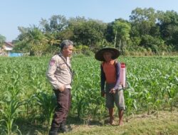 Genjot Swasembada Pangan, Polsek Batulayar Dorong Pertanian Pekarangan