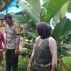 Cara Polsek Lembar Dorong Ketahanan Pangan Lewat Warga
