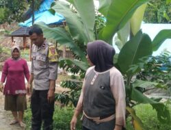 Cara Polsek Lembar Dorong Ketahanan Pangan Lewat Warga