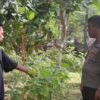 Polsek Batulayar Dorong Ketahanan Pangan di Desa Senggigi