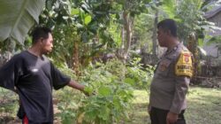 Sinergi Polisi dan Warga Senggigi Sulap Pekarangan Jadi Kebun