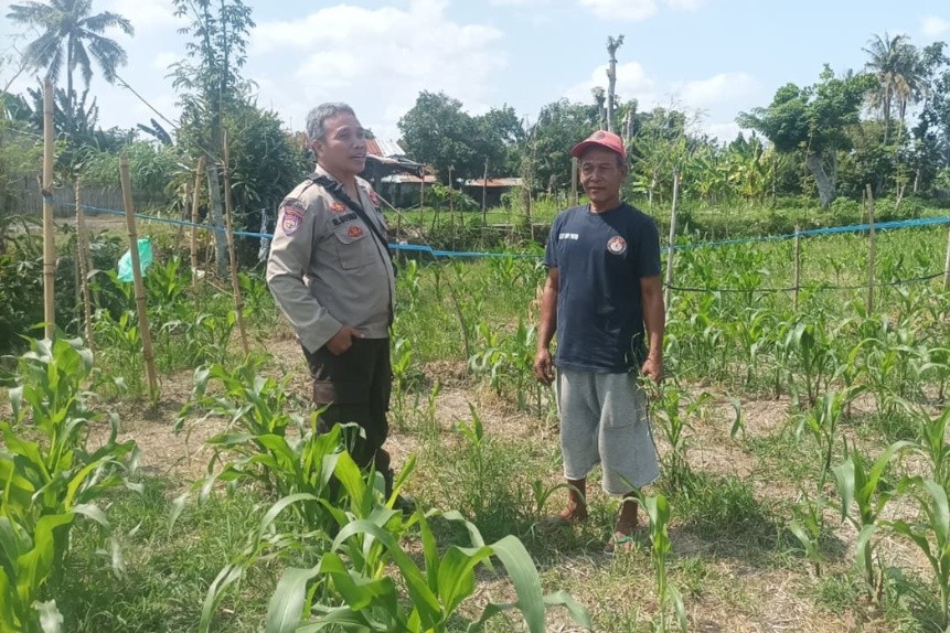 Polsek Batulayar Optimalkan Lahan Pekarangan Demi Wujudkan Kemandirian Pangan Keluarga