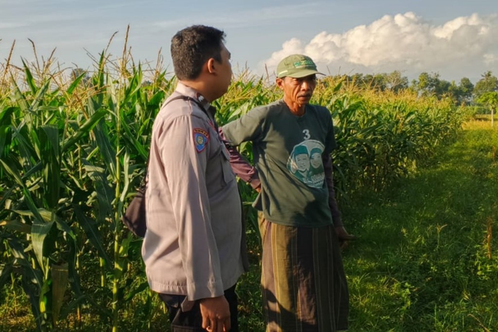 Wujudkan Ketahanan Pangan Nasional, Polsek Labuapi Gencarkan Edukasi Tanam Komoditas Produktif