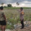 Polsek Labuapi Edukasi Petani Kuranji Dalang Teknik Hortikultura