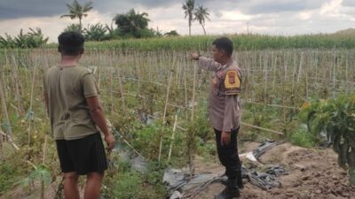 Polsek Labuapi Edukasi Petani Kuranji Dalang Teknik Hortikultura