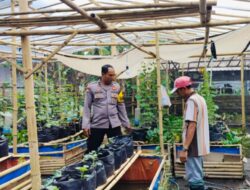 Polsek Labuapi Dukung Warga Bajur Manfaatkan Lahan Pekarangan