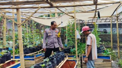 Polsek Labuapi Dukung Warga Bajur Manfaatkan Lahan Pekarangan