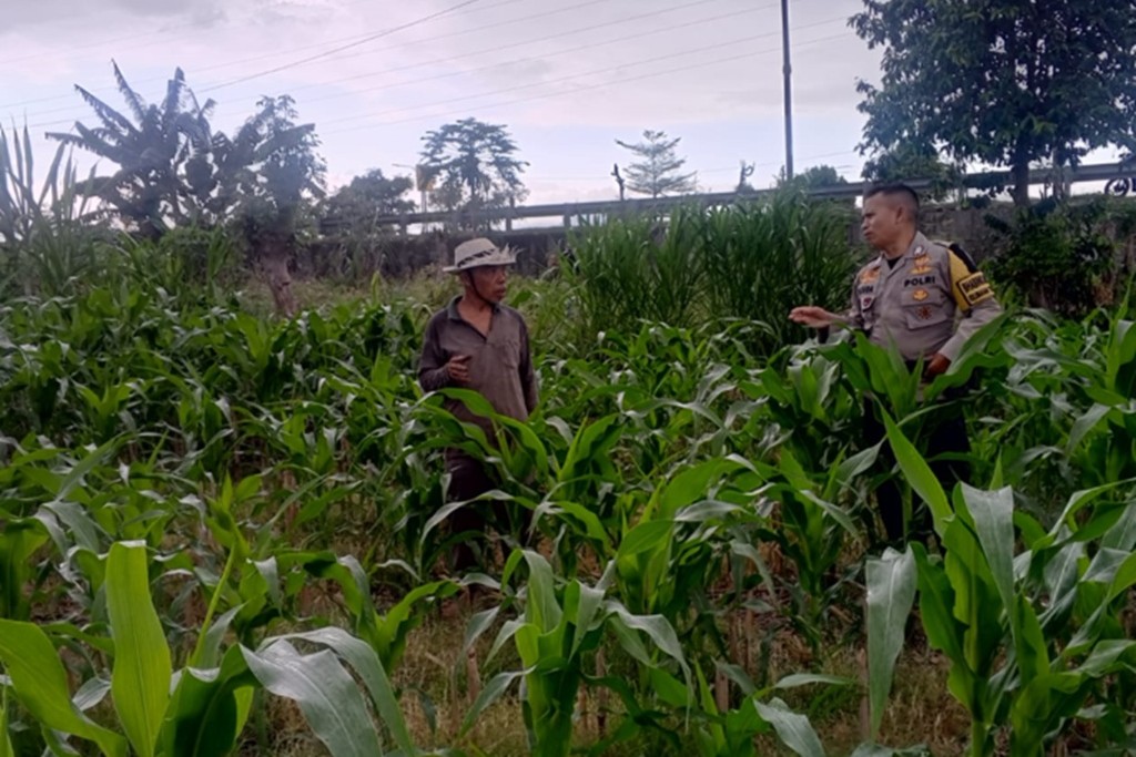 Pantau Harga Bahan Pokok, Polsek Labuapi Perkuat Ketahanan Pangan Desa Terong Tawah