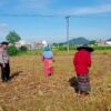 Sinergi Polsek Labuapi dan Petani Lombok Barat Optimalkan Lahan Pertanian