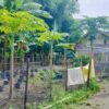 Polsek Labuapi Edukasi Warga Bajur Manfaatkan Pekarangan Rumah