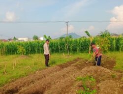 Perkuat Ketahanan Pangan Desa, Bhabinkamtibmas Polsek Labuapi Sambangi Petani Karang Bongkot