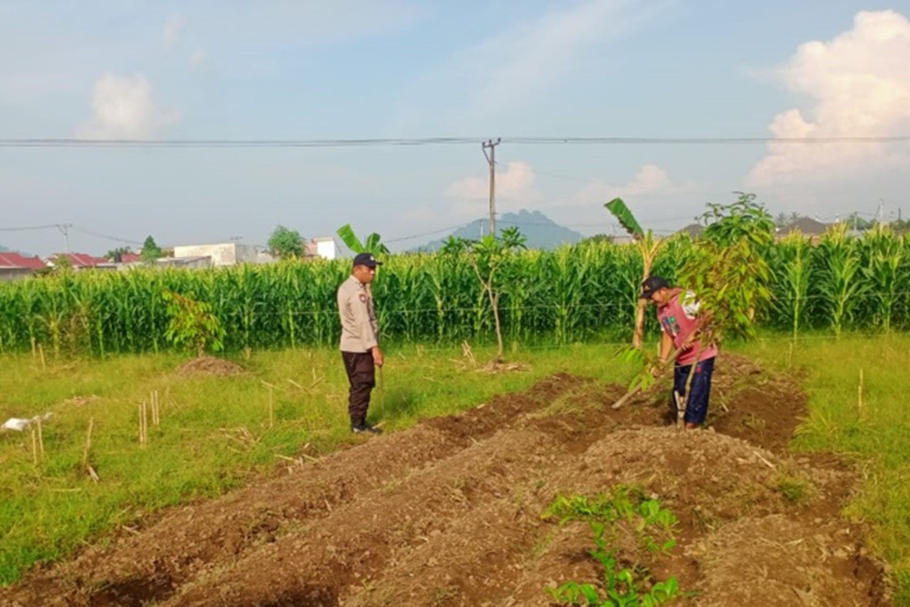 Sinergi Polri dan Petani, Polsek Labuapi Optimalkan Sektor Pertanian Demi Ketahanan Pangan