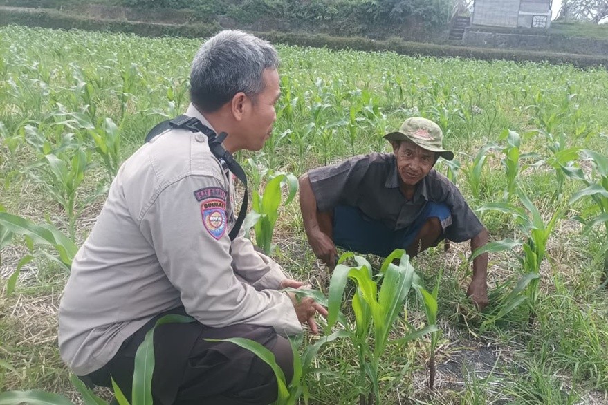 Perkuat Ketahanan Pangan Nasional, Polsek Batulayar Bergerak Pendampingan Lahan Produktif