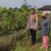 Bhabinkamtibmas Desa Kuranji Dalang Edukasi Petani Jagung Cegah Hama