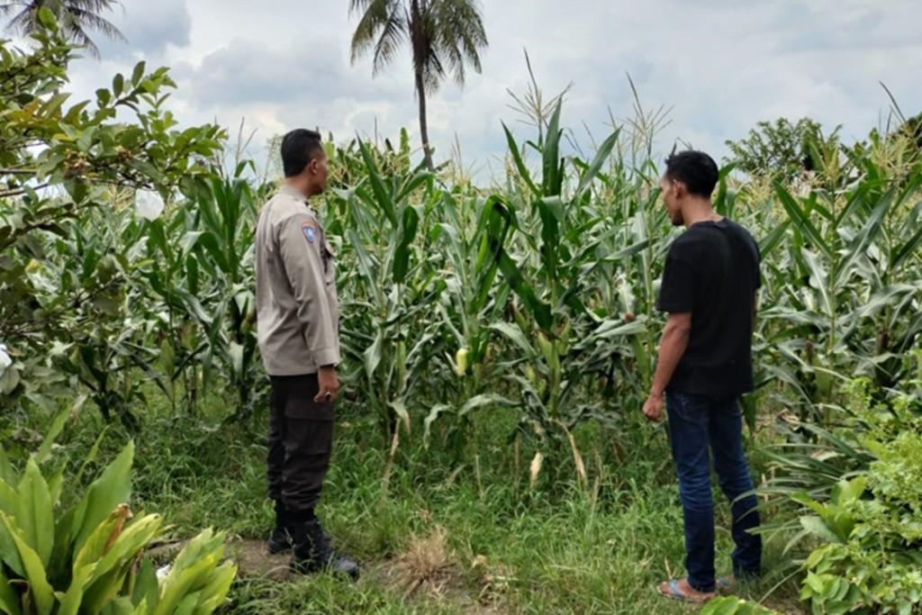 Wujudkan Kemandirian Pangan, Polsek Labuapi Dorong Warga Optimalkan Pekarangan