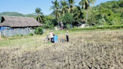 Polisi Turun ke Sawah Lombok Barat, Kawal Ketahanan Pangan Sejak Masa Tanam