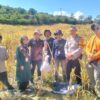 Kawal Ketahanan Pangan, Polsek Sekotong Dampingi Ubinan Jagung BPS RI
