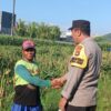 Bukan Sekadar Patroli, Strategi Polsek Labuapi Ini Dongkrak Sektor Pertanian dan Ketahanan Pangan Nasional