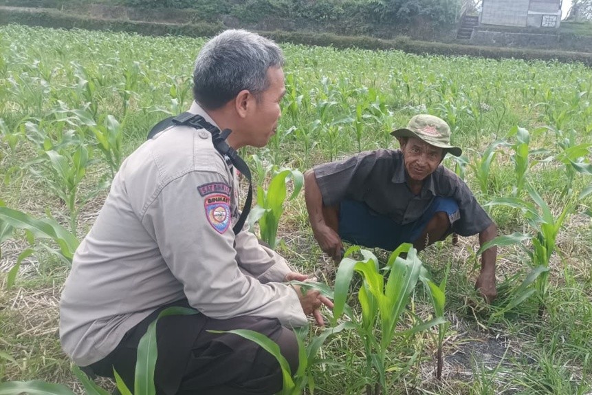 Dorong Produktivitas Pertanian, Polsek Batulayar Beri Pendampingan Intensif di Lombok Barat