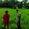 Polsek Labuapi Dorong Ketahanan Pangan di Desa Bengkel