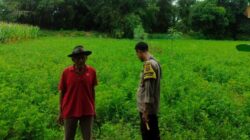 Polsek Labuapi Dorong Ketahanan Pangan di Desa Bengkel