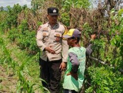 Langkah Bhabinkamtibmas Desa Labuapi Wujudkan Kemandirian Pangan Melalui Pemanfaatan Lahan Kosong