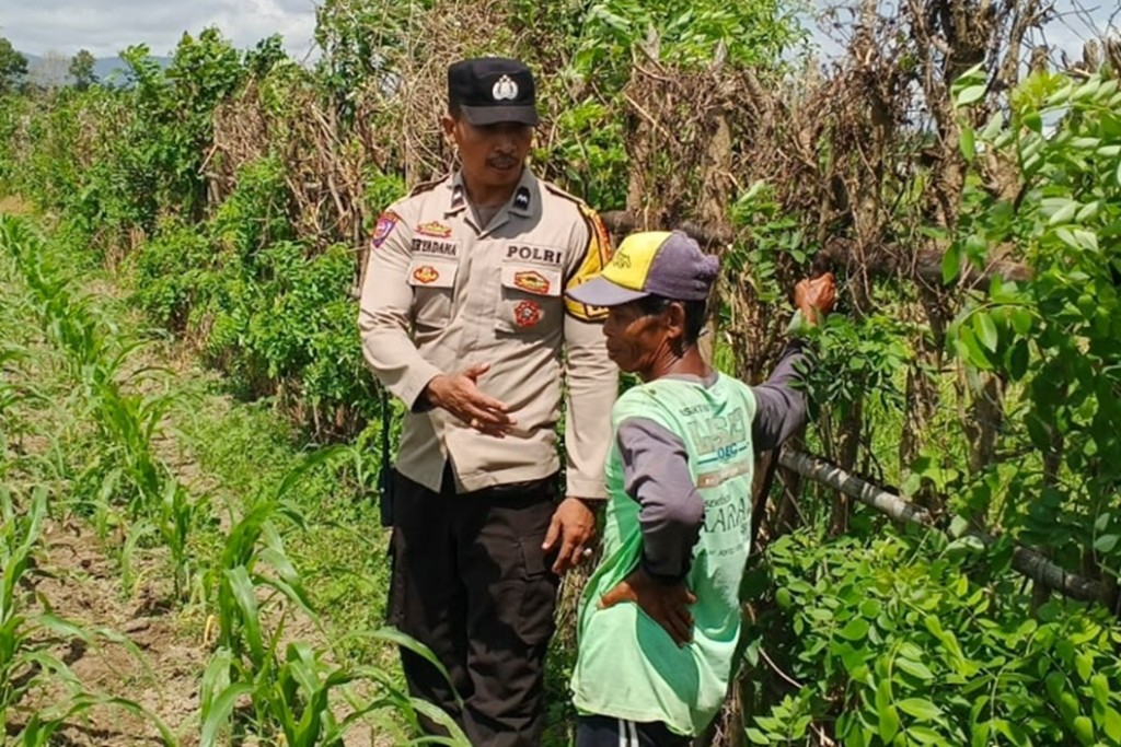 Optimalkan Pekarangan Rumah, Polsek Labuapi Pendampingan Petani Lokal dan Warga Binaan