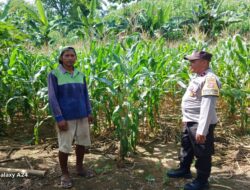 Polsek Gerung Dorong Warga Giri Tembesi Manfaatkan Lahan Pekarangan untuk Pangan