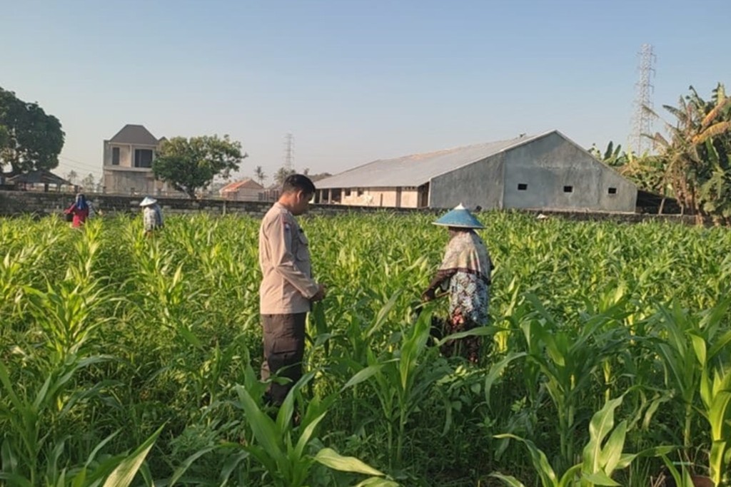 Wujud Sinergi Polri dan Petani, Bhabinkamtibmas Kuranji Dalang Perkuat Ketahanan Pangan Lombok Barat