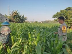 Langkah Konkret Polsek Labuapi Dorong Kemandirian Pangan Warga Melalui Pemanfaatan Lahan