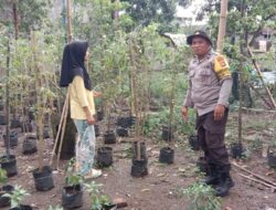Dukung Swasembada Pangan, Bhabinkamtibmas Turun Langsung Mendampingi Petani di Bagik Polak Barat