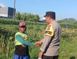 Langkah Proaktif Polsek Labuapi Dorong Kemandirian Pangan dan Kesejahteraan Petani Lokal