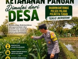 Dukung Astacita, Polsek Palang Polresta Tuban Pantau Langsung Lahan Jagung milik warga Desa Dawung