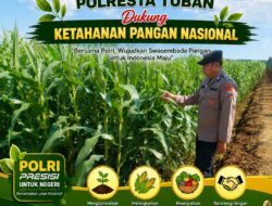Polisi Polsek jenu Polres Tuban Turun ke Ladang, Dampingi Petani Jagung Dukung Ketahanan Pangan