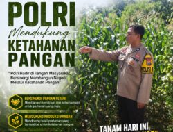 Polri Dukung Astacita, Polsek Merakurak Polres Tuban Turun Cek Tanaman Jagung Warga di Desa Tuwiri Kulon