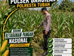 BHABINKAMTIBMAS POLSEK BANGILAN LAKSANAKAN MONITORING TANAMAN JAGUNG DALAM RANGKA MENDUKUNG KETAHANAN PANGAN NASIONAL