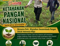 Polsek Soko Polresta Tuban Turun Langsung Cek Tanaman Jagung Warga