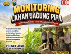 Polisi Polsek jenu Polres Tuban Turun ke Ladang, Dampingi Petani Jagung Dukung Ketahanan Pangan
